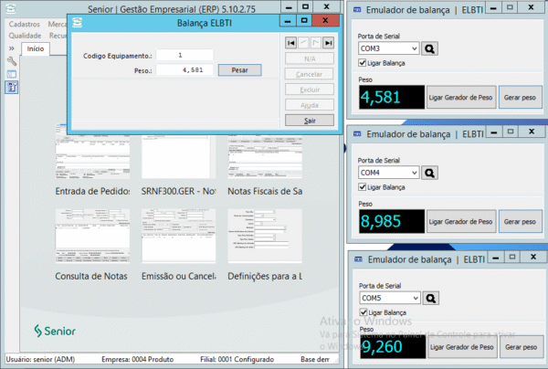 Automatizar Balança no ERP Senior Sistemas(DLL) - Imagem 3