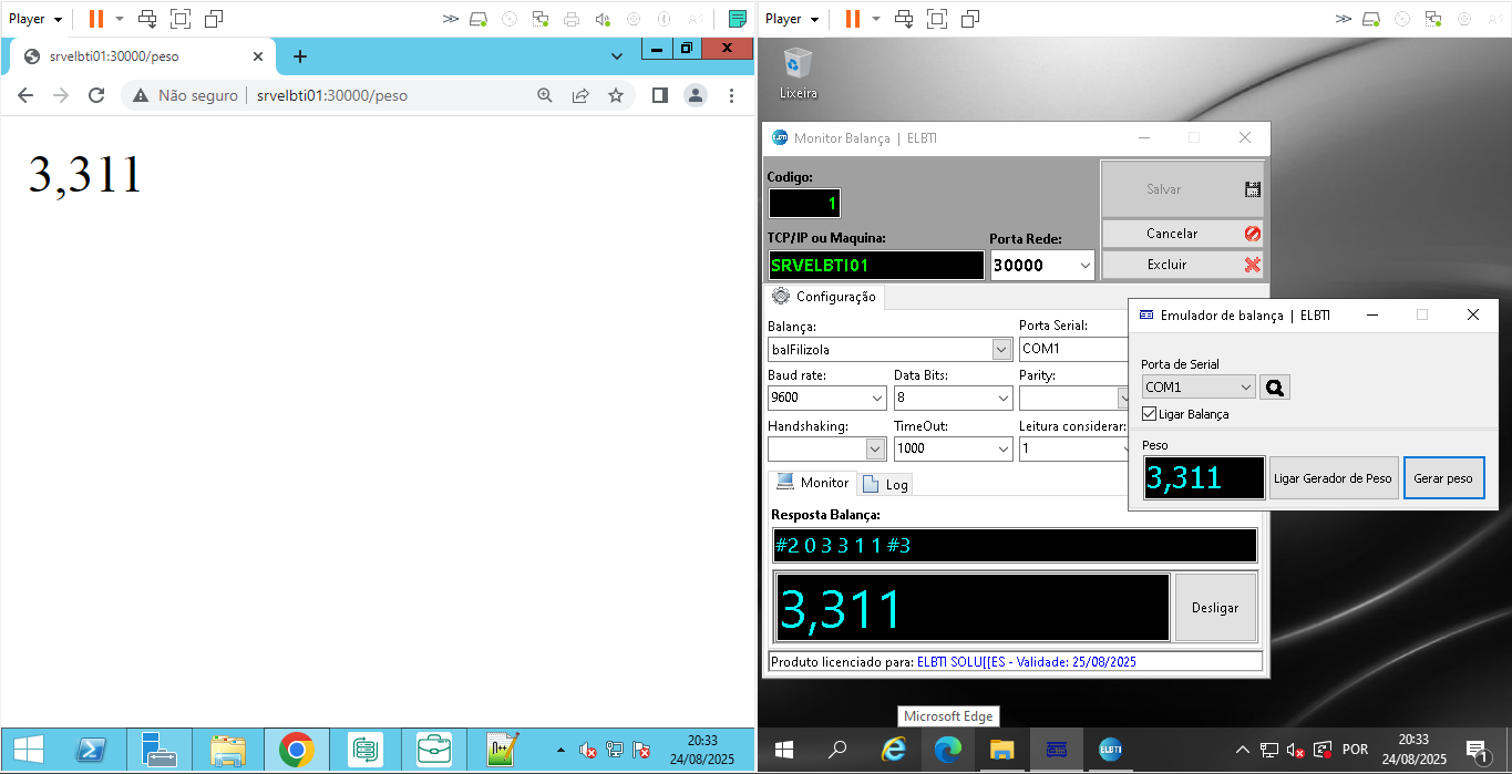 Automatizar Balança no ERP Senior Sistemas via API Rede(MONITOR) - Imagem 2