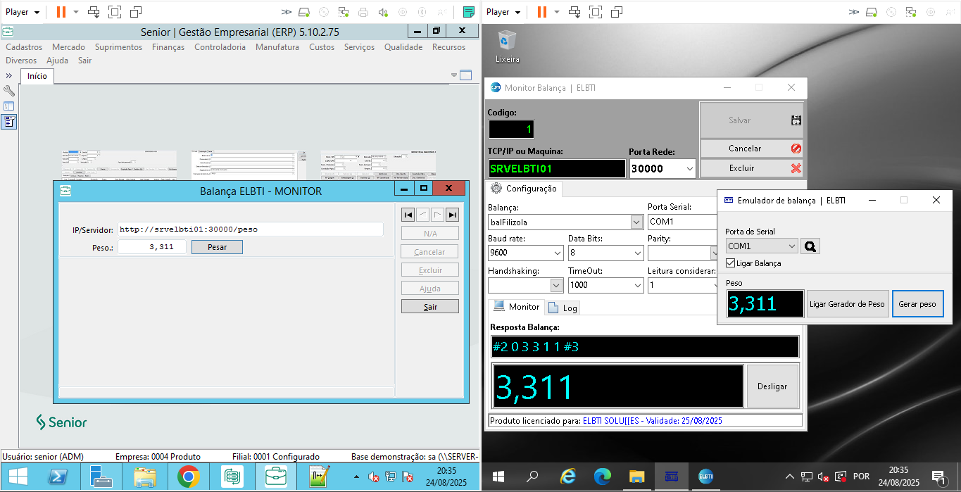 Automatizar Balança no ERP Senior Sistemas via API Rede(MONITOR) - Imagem 3